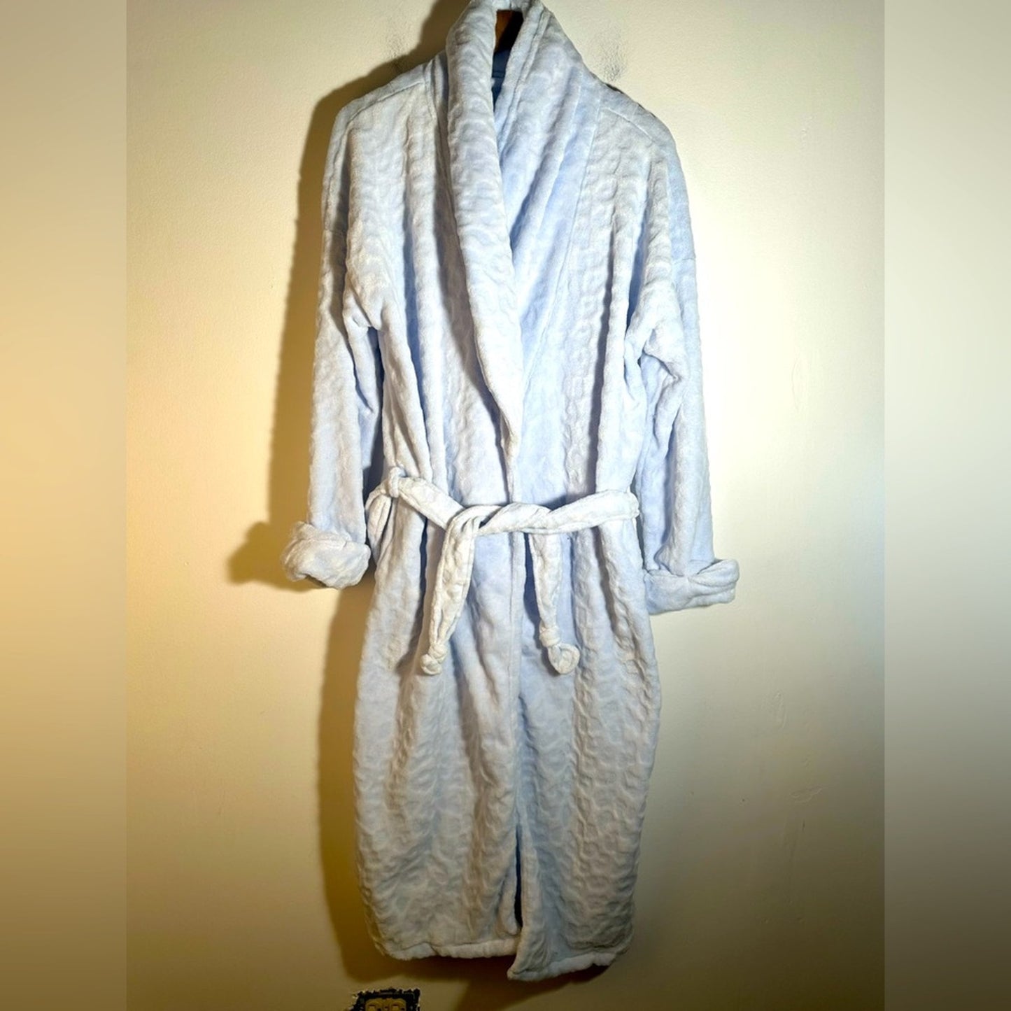 Cozy Light Blue  Fluffy Robe
