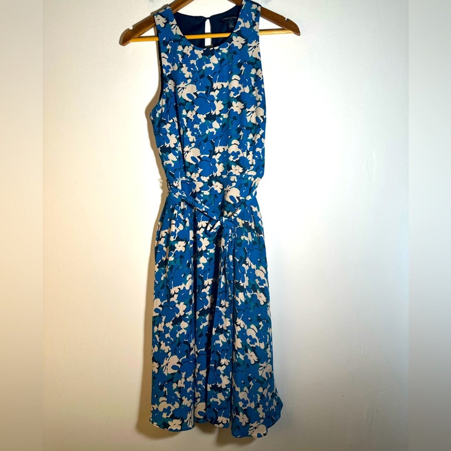 Banana Republic Floral Blue Sleeveless Dress
