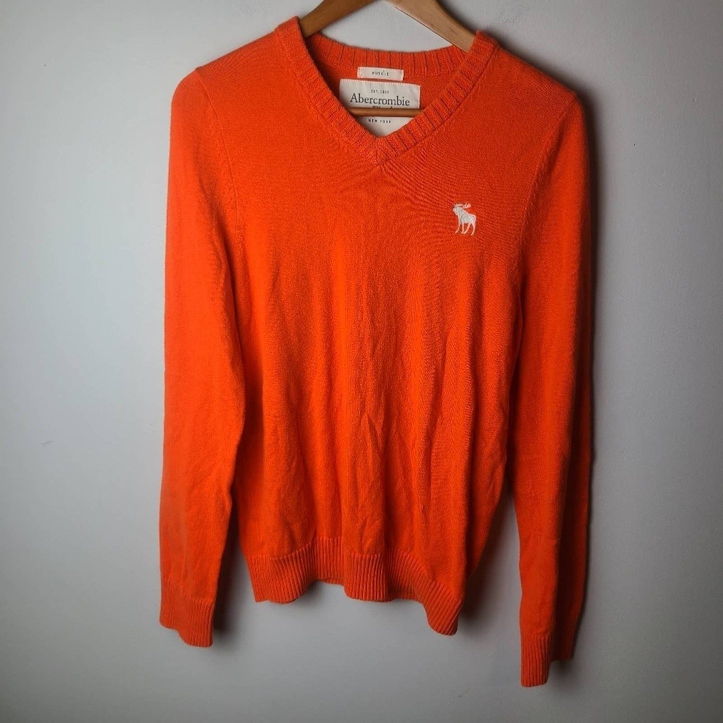 Abercrombie & Fitch Men's V neck Sweater