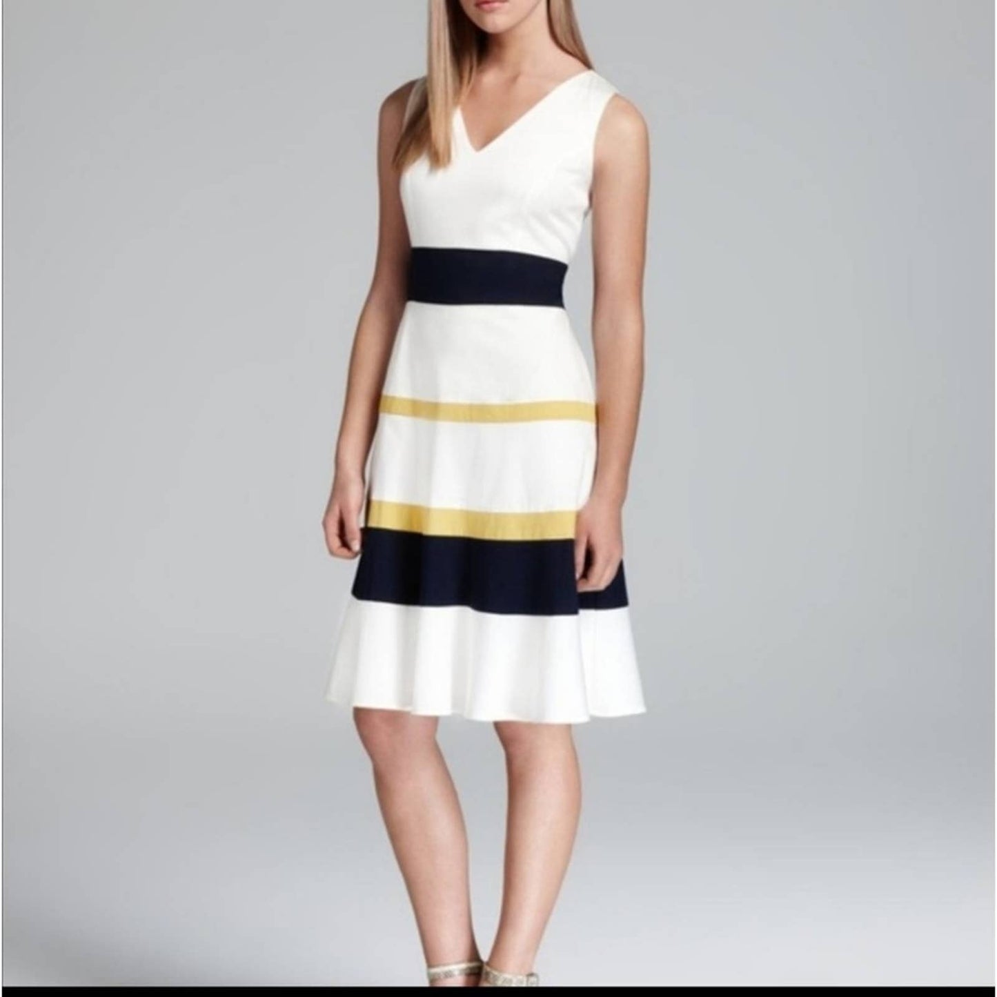 Black Label by Evan Picone Color Block Dress