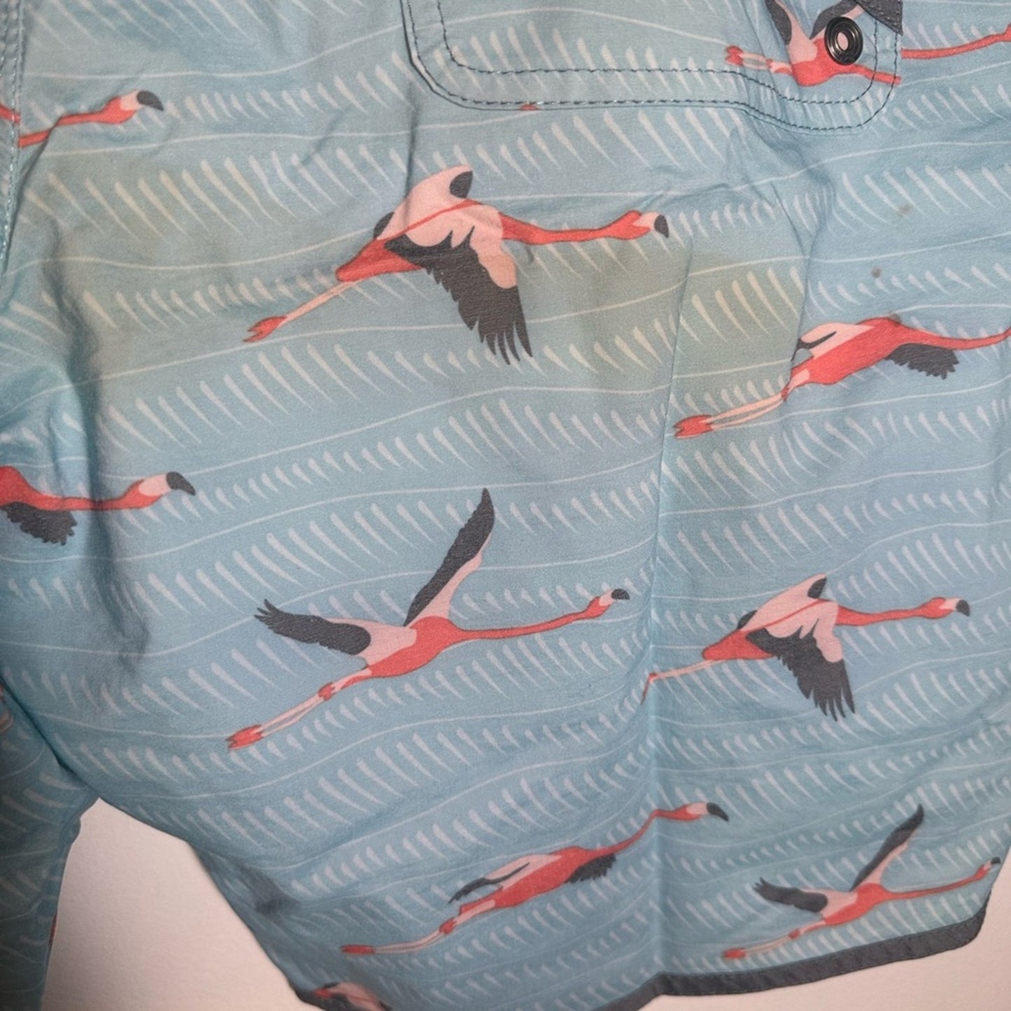 Billabong Men's Aqua Swim Shorts with Flamingo Pattern