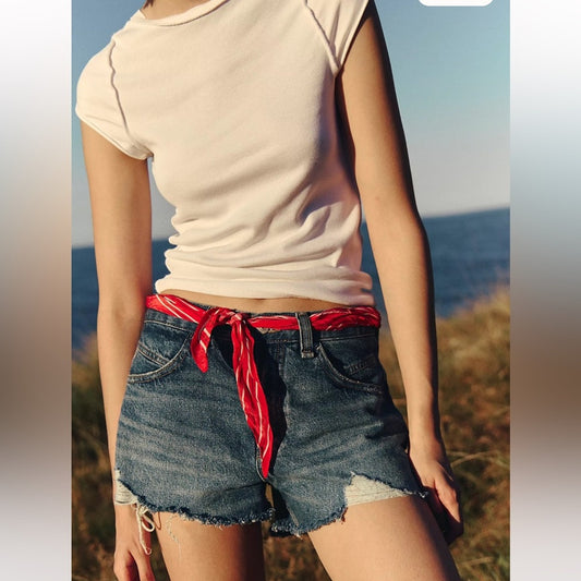 We The Free Light Blue Distressed Jean Shorts