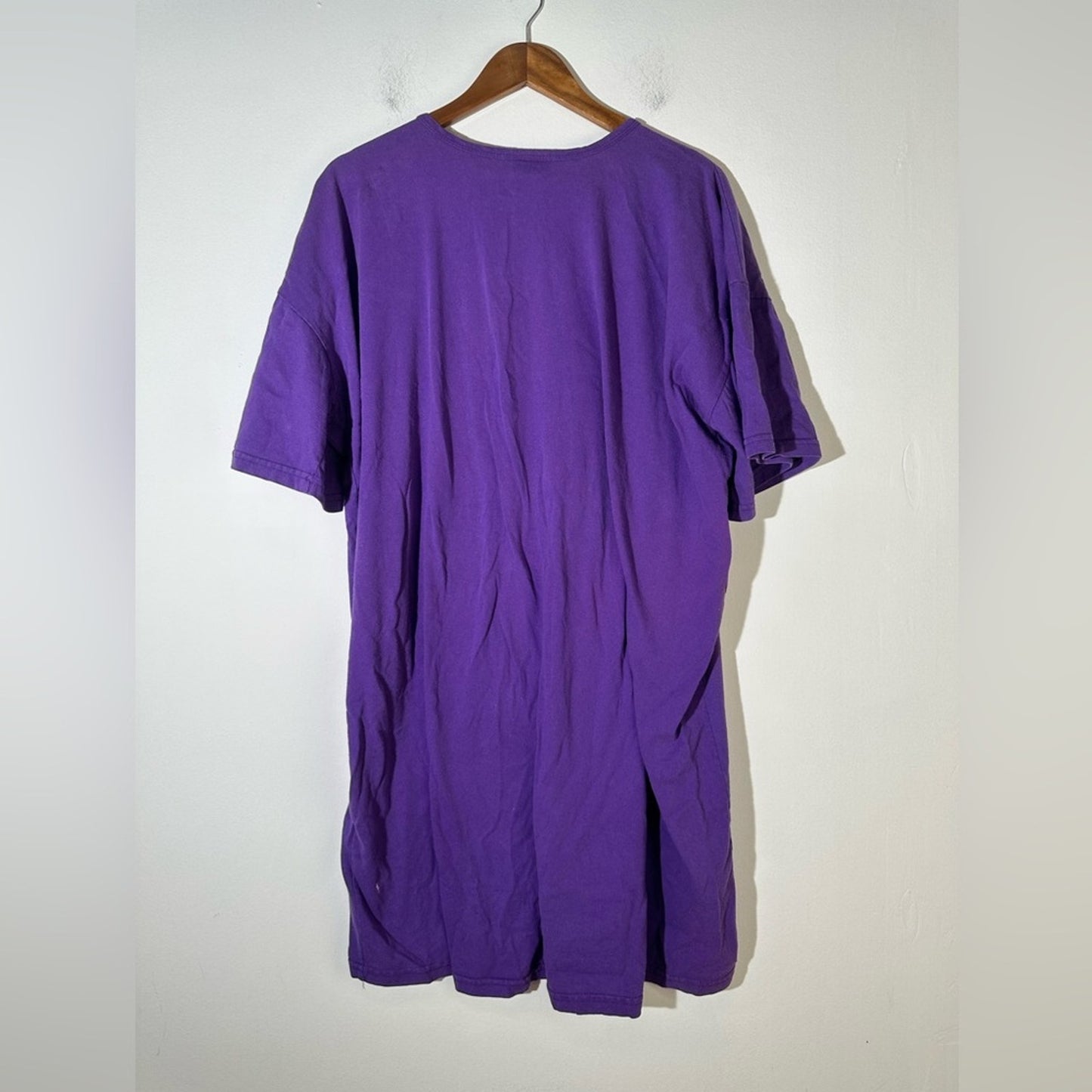 Vintage Teddy Nightgown