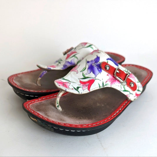 Alegria Vanessa Lily Thongs